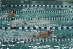 九游娱乐在线-中国游泳运动员世锦赛接力项目表现抢眼，中国游泳接力夺金